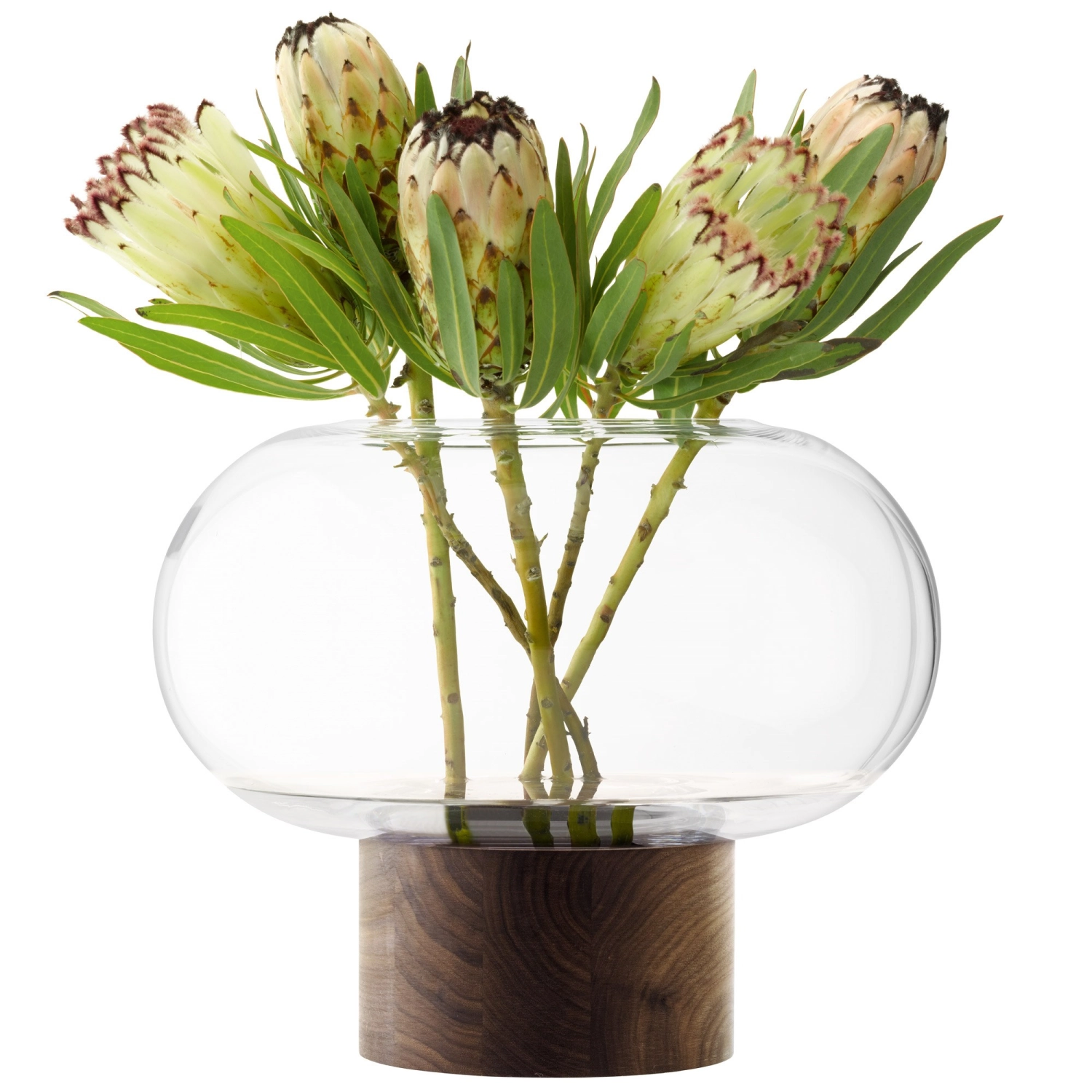 Oblate Vase Laterne D35cm, H28cm transparent walnuss