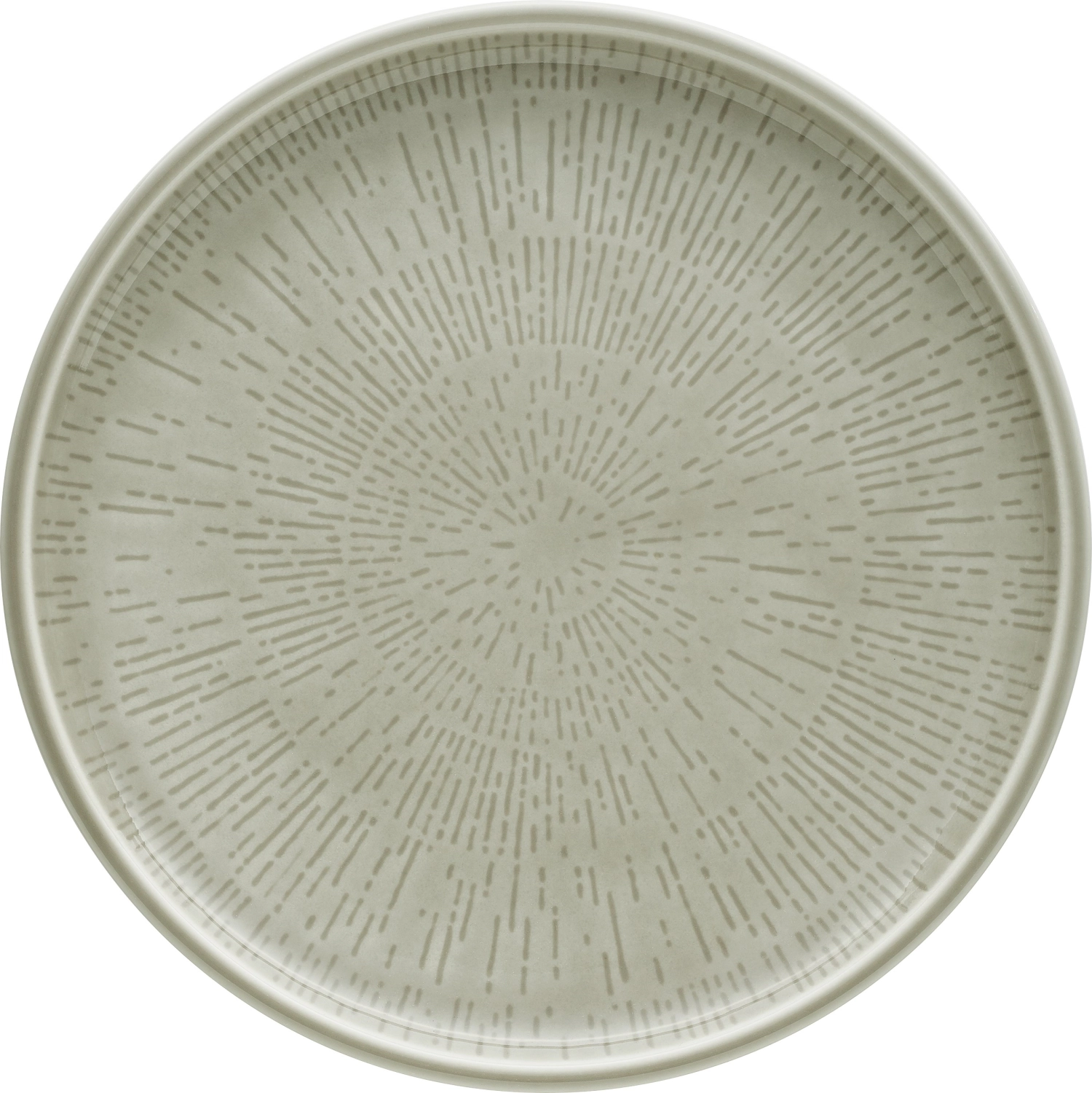 Assiette plate coupe structure 21 steam