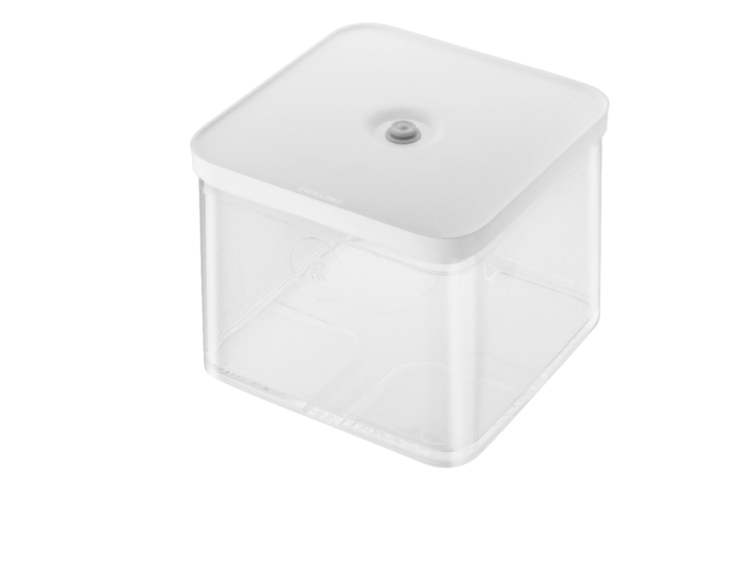 Fresh & Save CUBE Box 2l